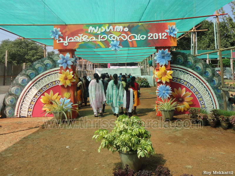 flower-show-2012 (1)